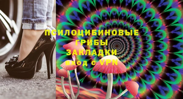 ECSTASY Богородицк