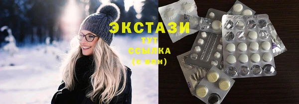 ECSTASY Богородицк