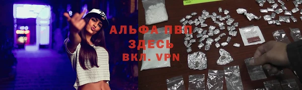 apvp Аркадак