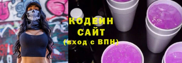 индика Арсеньев