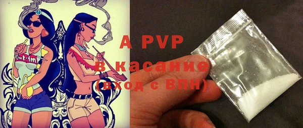 ECSTASY Богородицк
