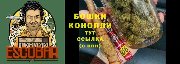 ECSTASY Богородицк