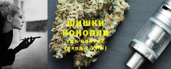 индика Арсеньев