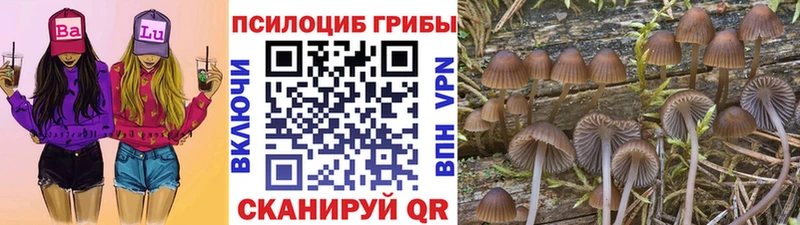 Галлюциногенные грибы Psilocybe MEGA ТОР Спасск-Дальний